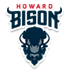 HowardBison